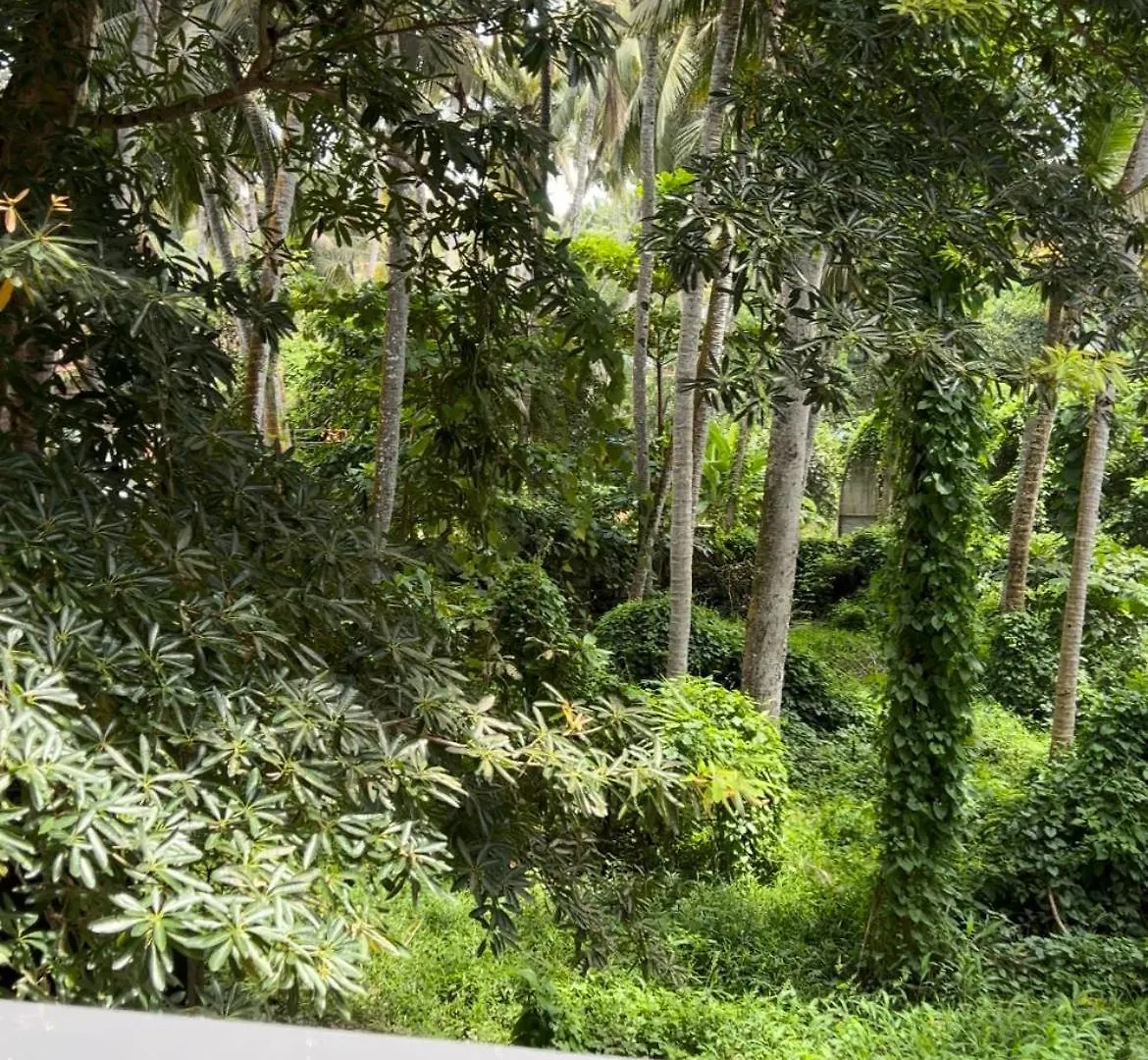 Hotel Aura Retreat Kovalam 0*,  Indie